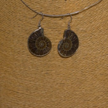 Ohrhänger Ammonit, 925 Silber