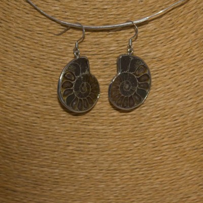 Ohrhänger Ammonit, 925 Silber