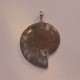 Anhänger Ammonit 925 Silber